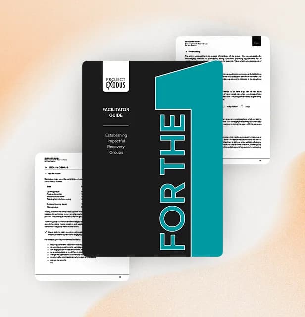 Bridge platform — facilitator guide document view.