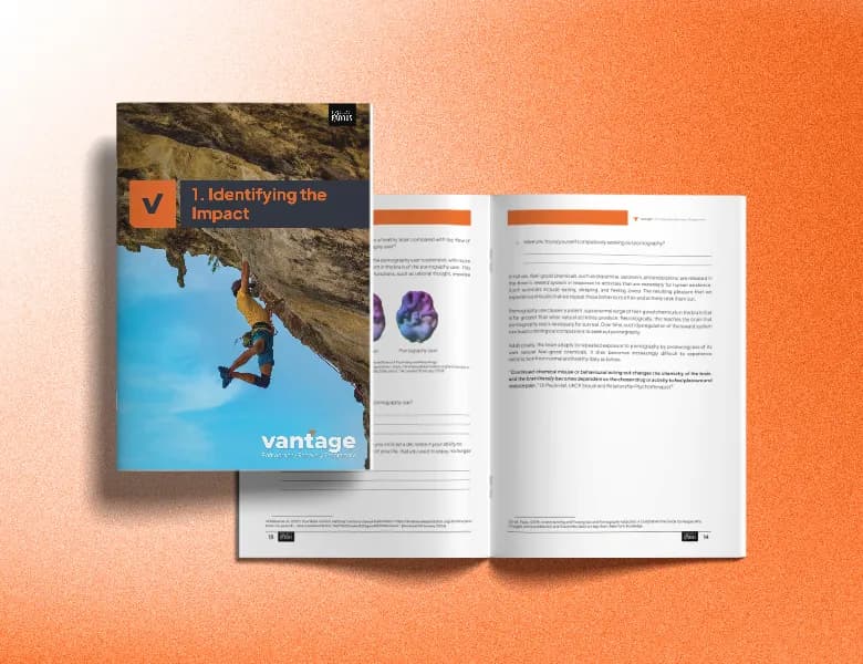 Vantage Workbook: Identifying the Impact