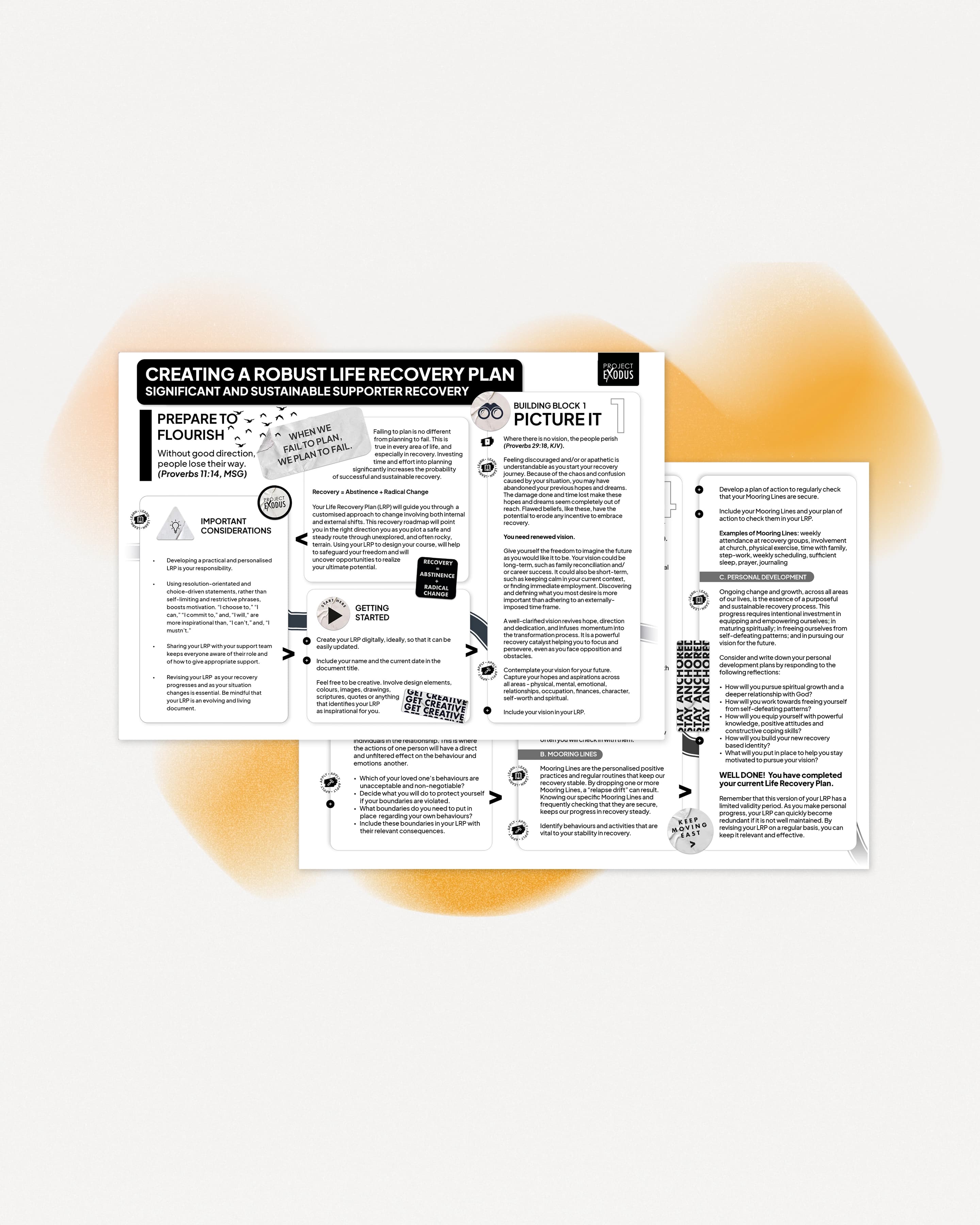 Supporter Life Recovery Plan Guidelines